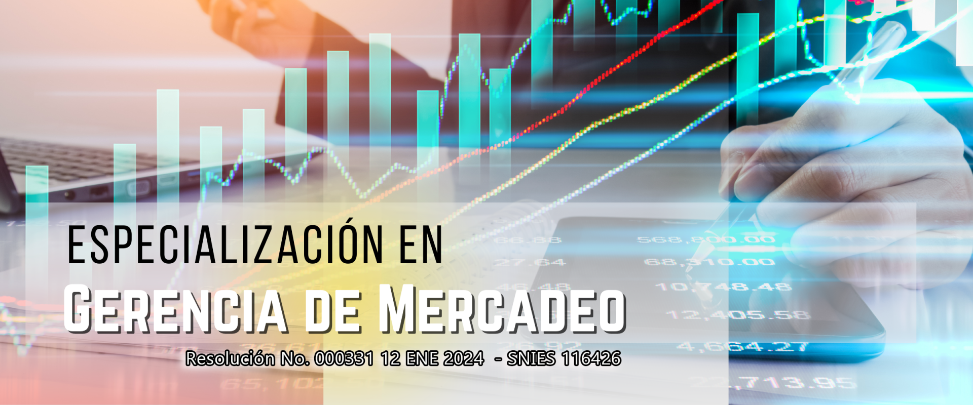 Gerencia de Mercadeo 2